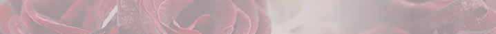 CtH[V